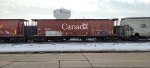 CN 109878